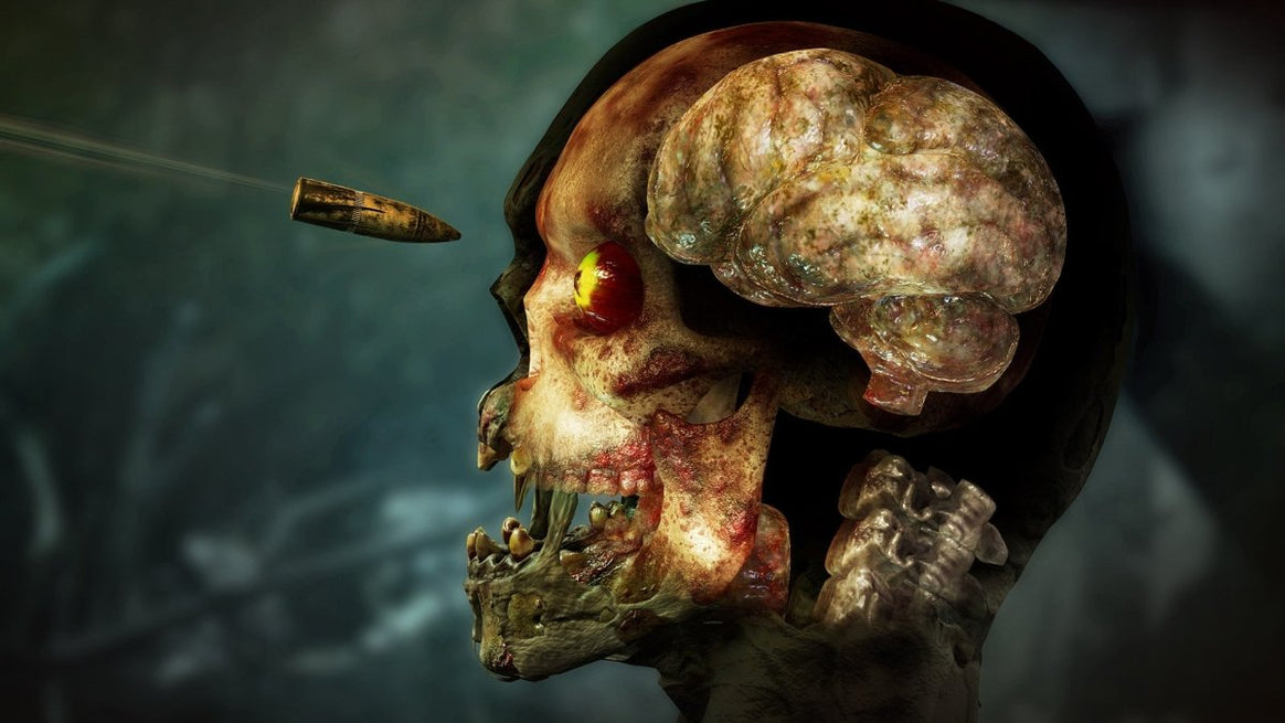 Zombie Army 4: Dead War - Steam - 95gameshop